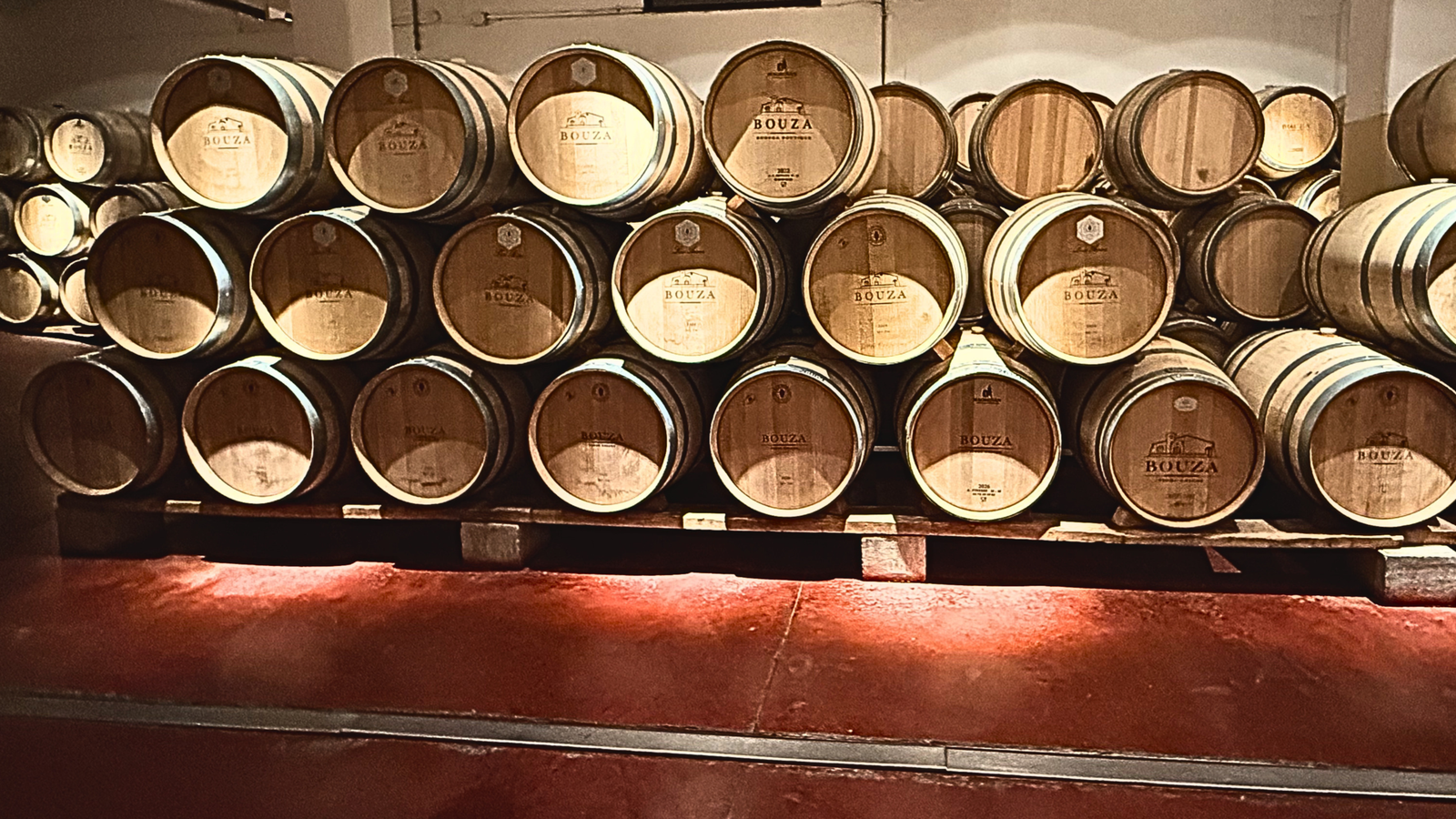 Bodega Bouza — Foto 9