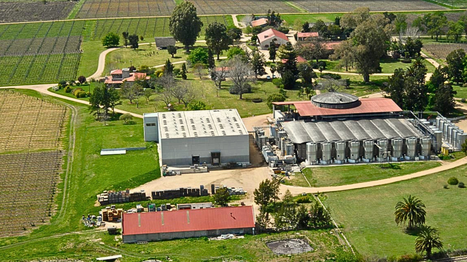 Bodega Familia Deicas — Foto 2