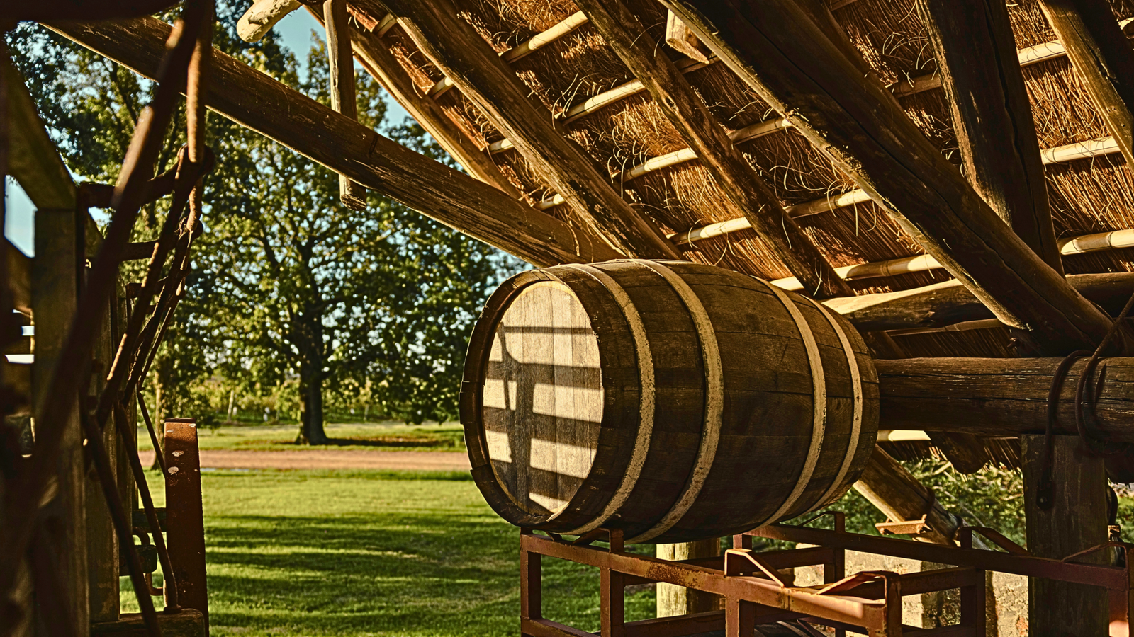 Bodega Familia Deicas — Foto 5