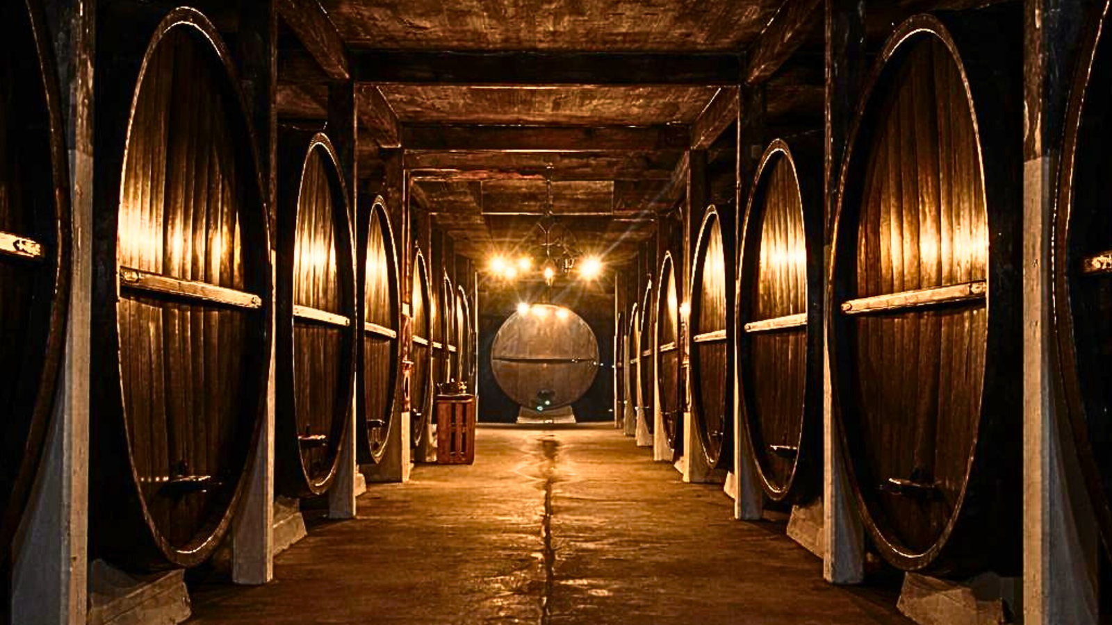 Bodega Santa Rosa — Foto 5