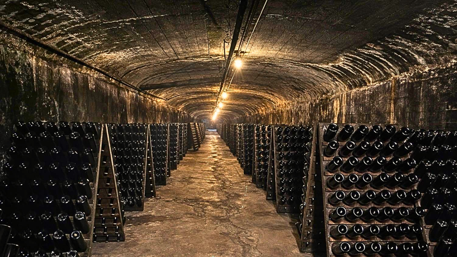 Bodega Santa Rosa — Foto 3