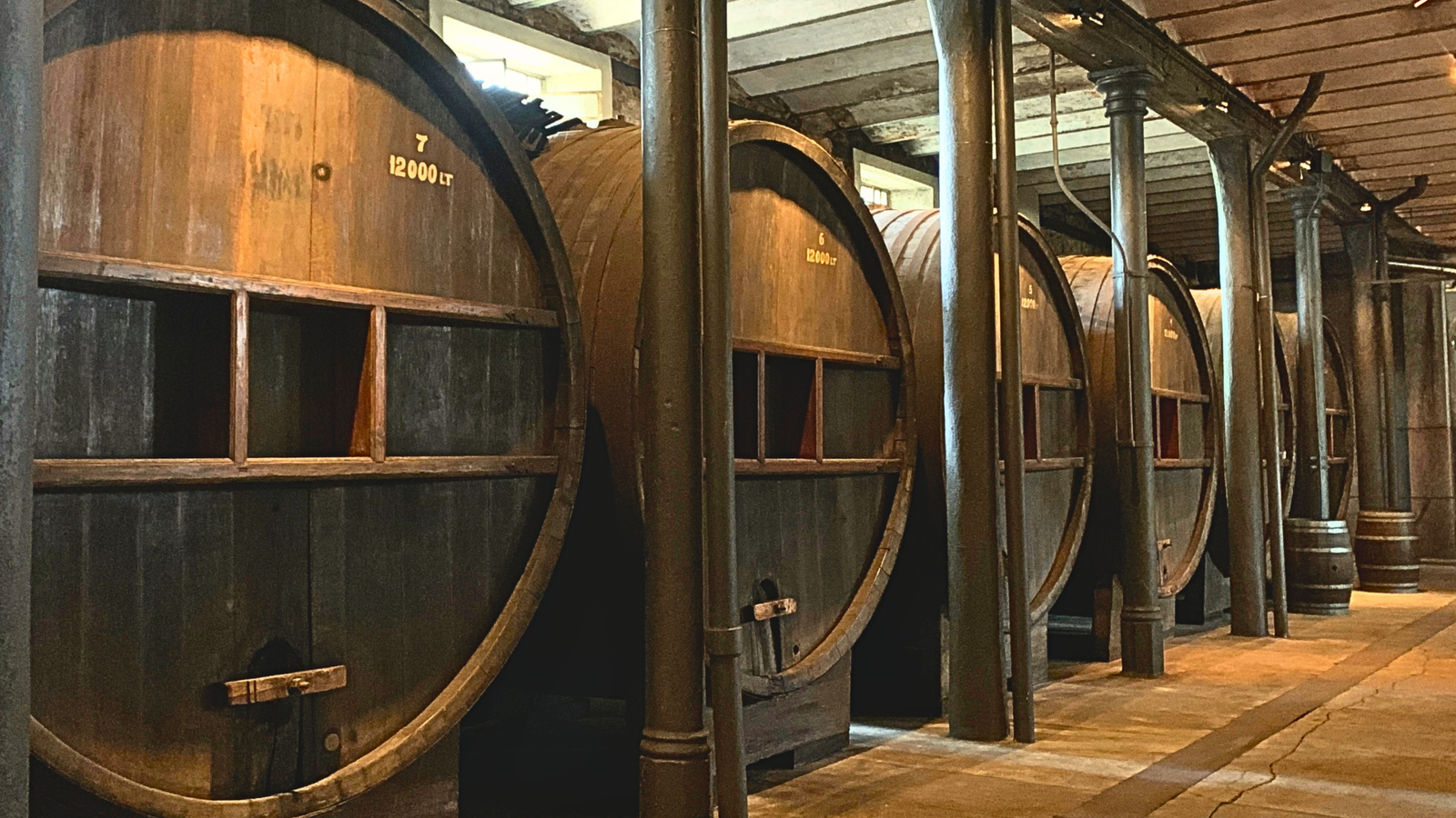 Bodega Spinoglio — Foto 4