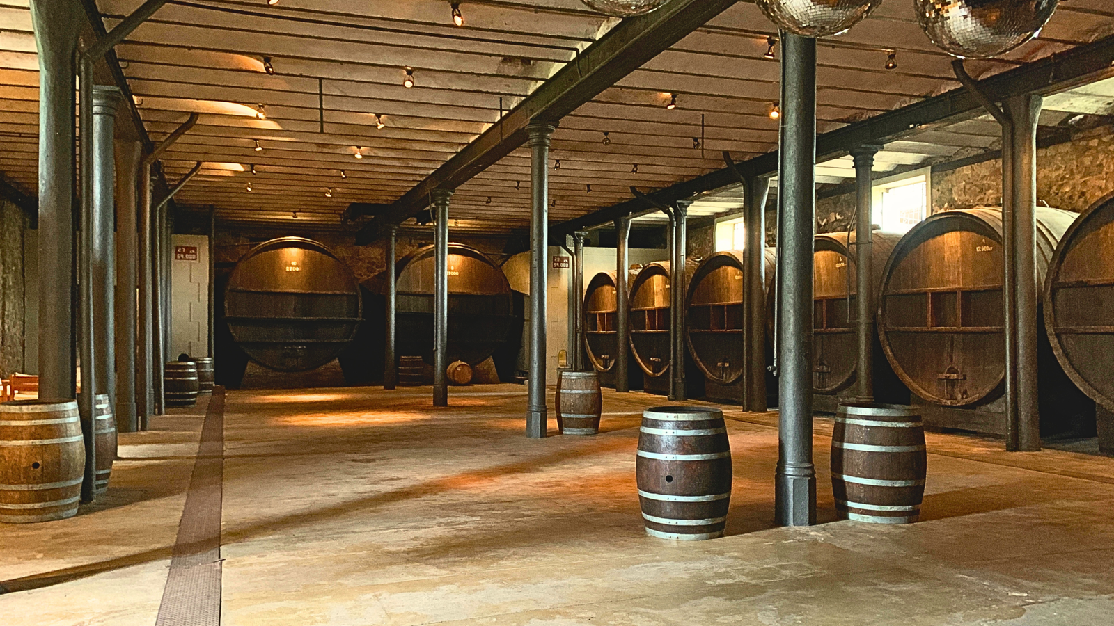 Bodega Spinoglio — Foto 3