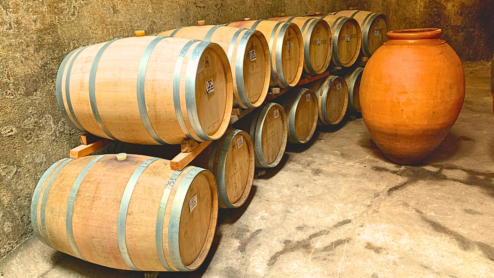 Bodega Spinoglio — Foto 8