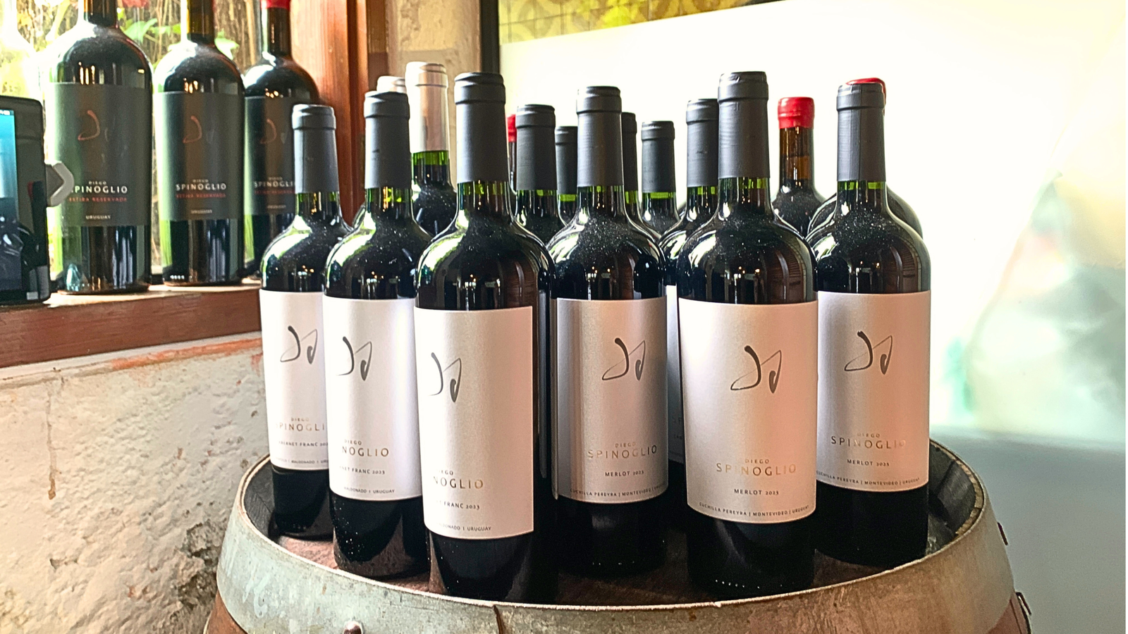 Bodega Spinoglio — Foto 10